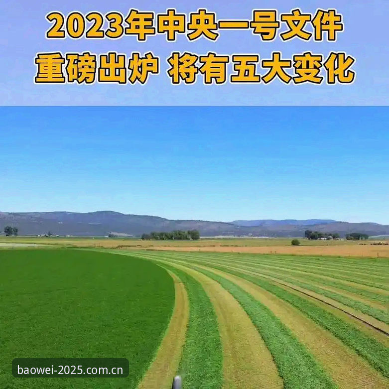 宝威体育最新版本怎么样？2025版带来的五大改变值得关注吗？
